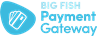 BIG FISH Payment Gateway